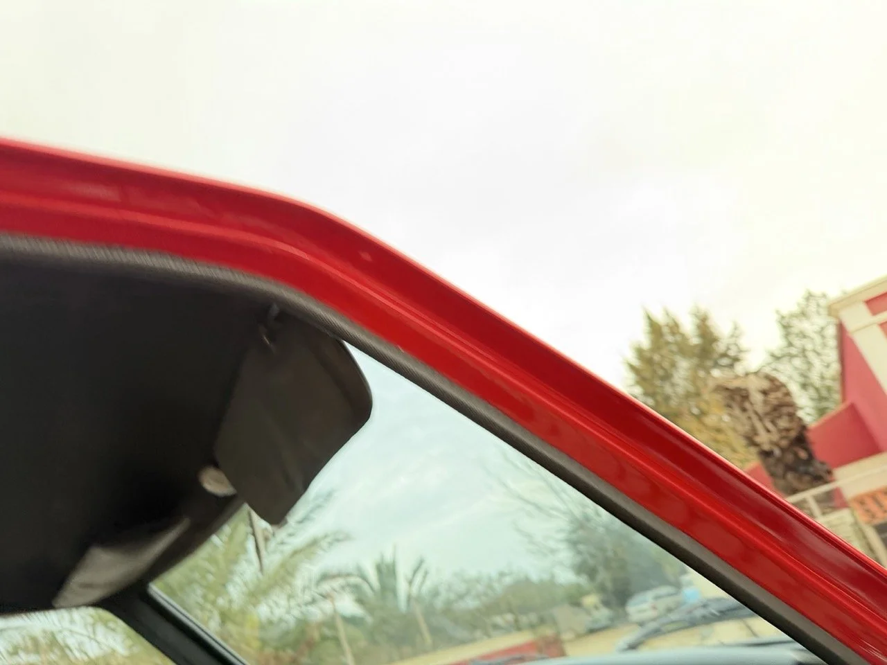 IMG_8245 – grande.jpeg