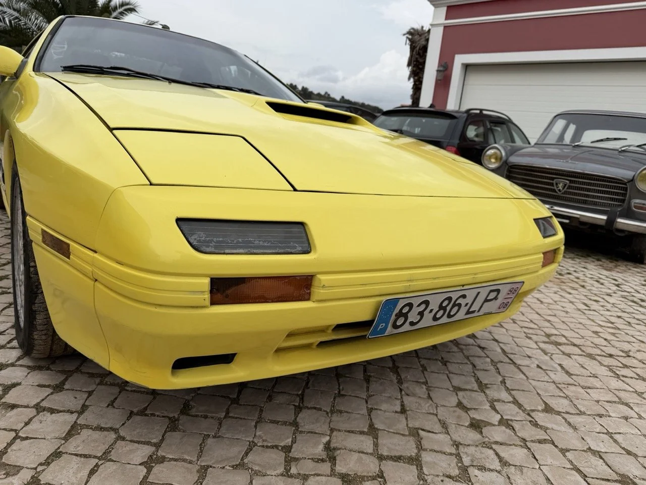 IMG_9765 – grande.jpeg