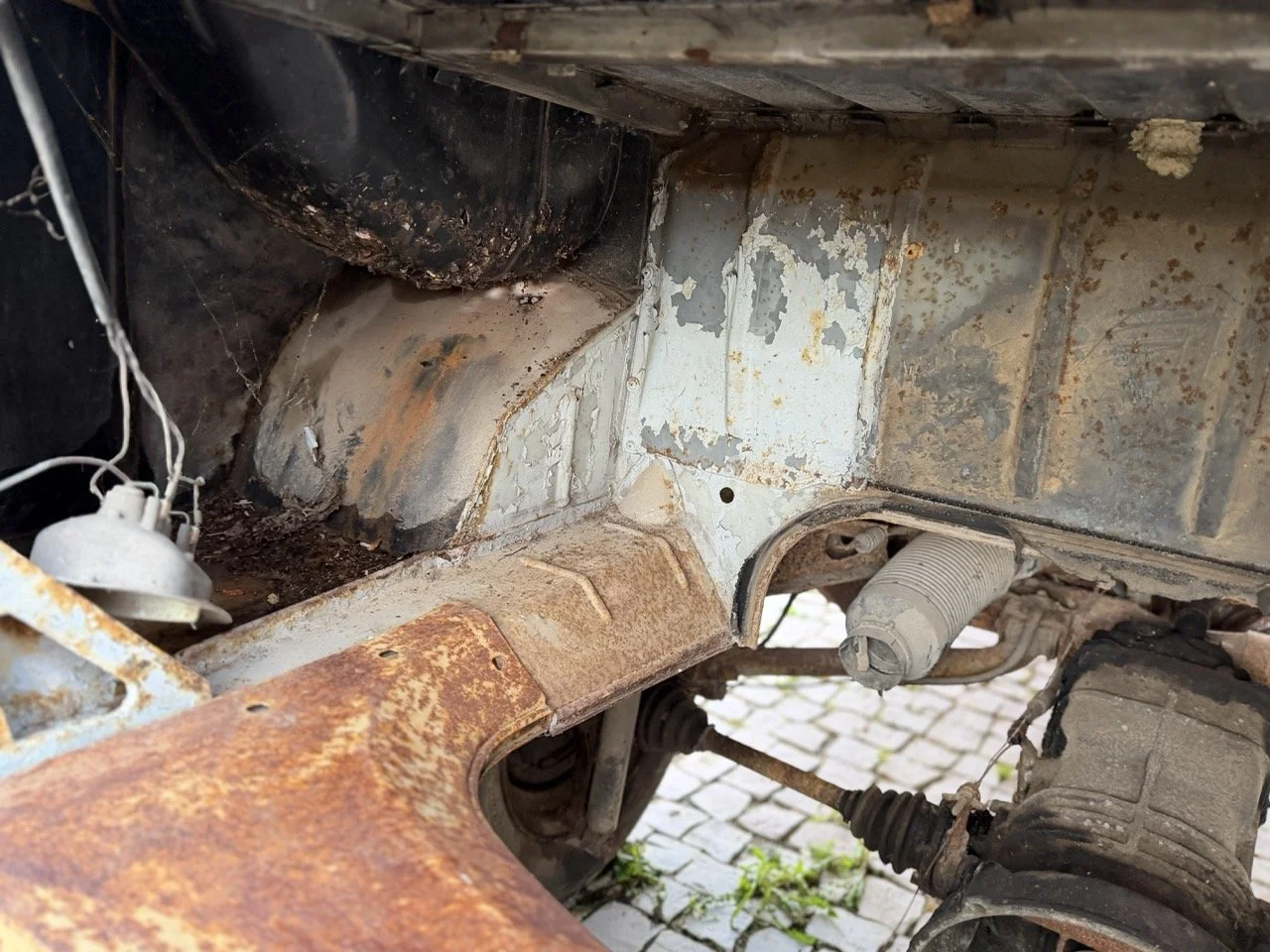 IMG_0788 – grande.jpeg