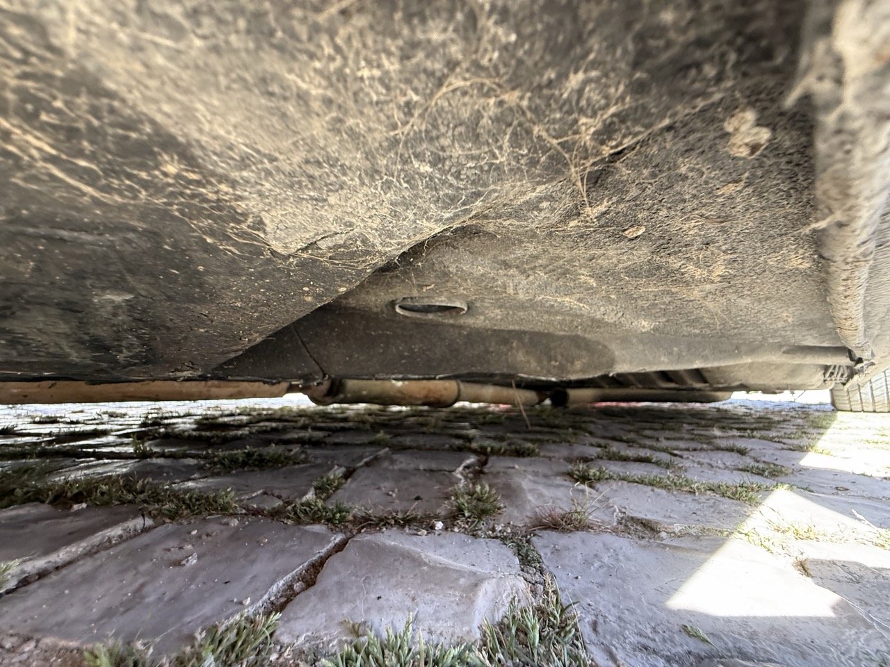 IMG_2620 – grande.jpeg