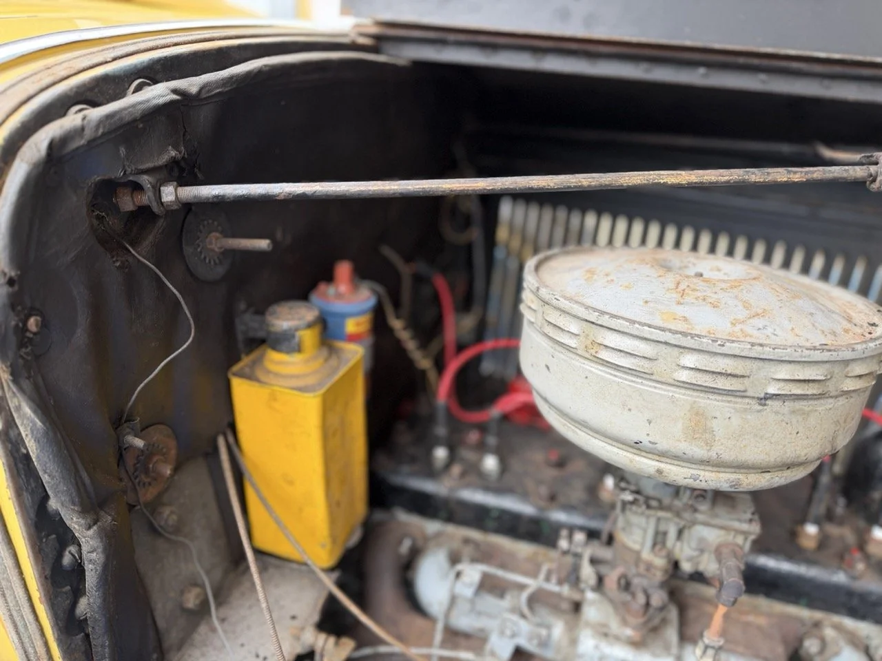 IMG_1542 – grande.jpeg