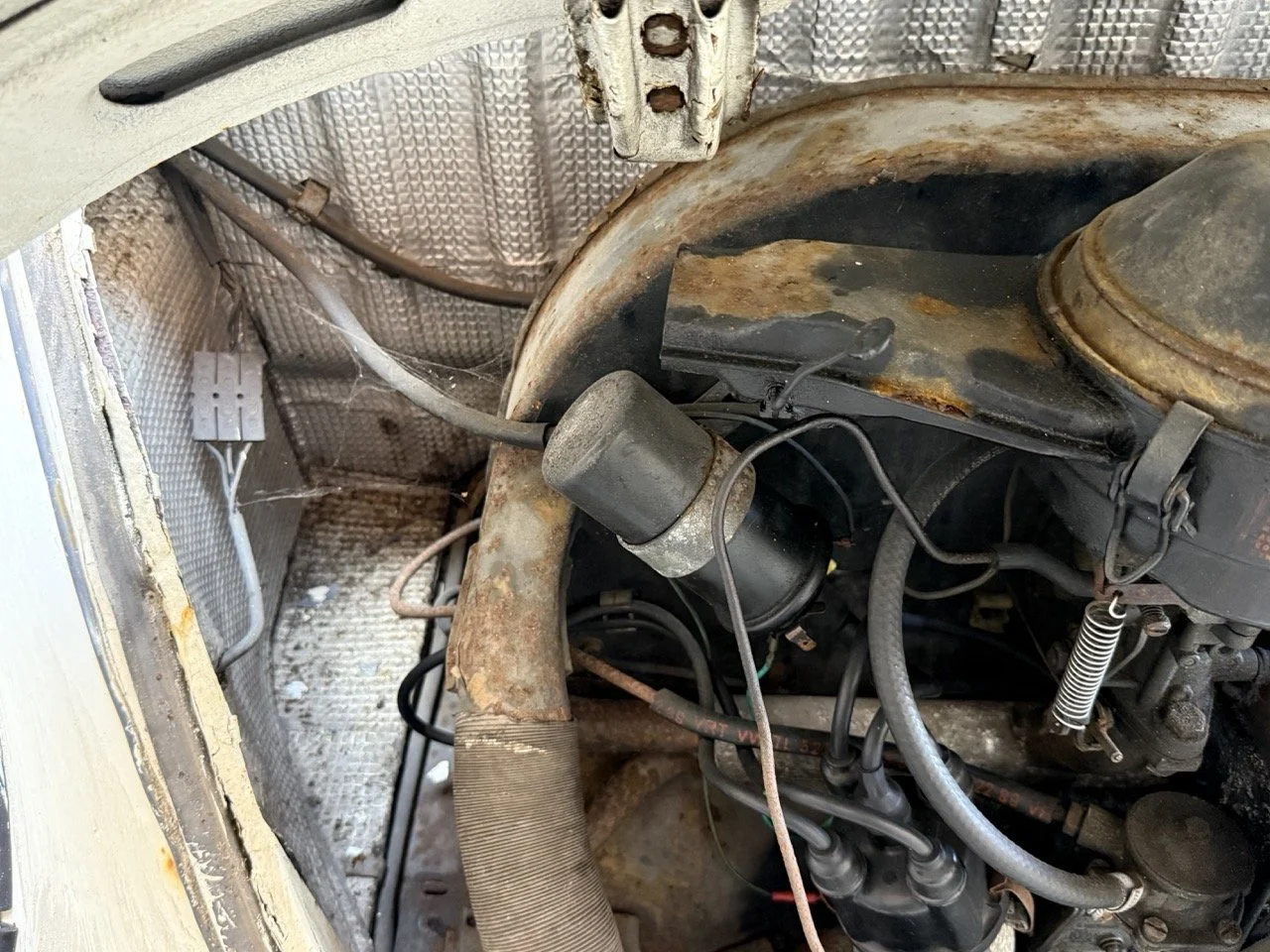 IMG_0702 – grande.jpeg