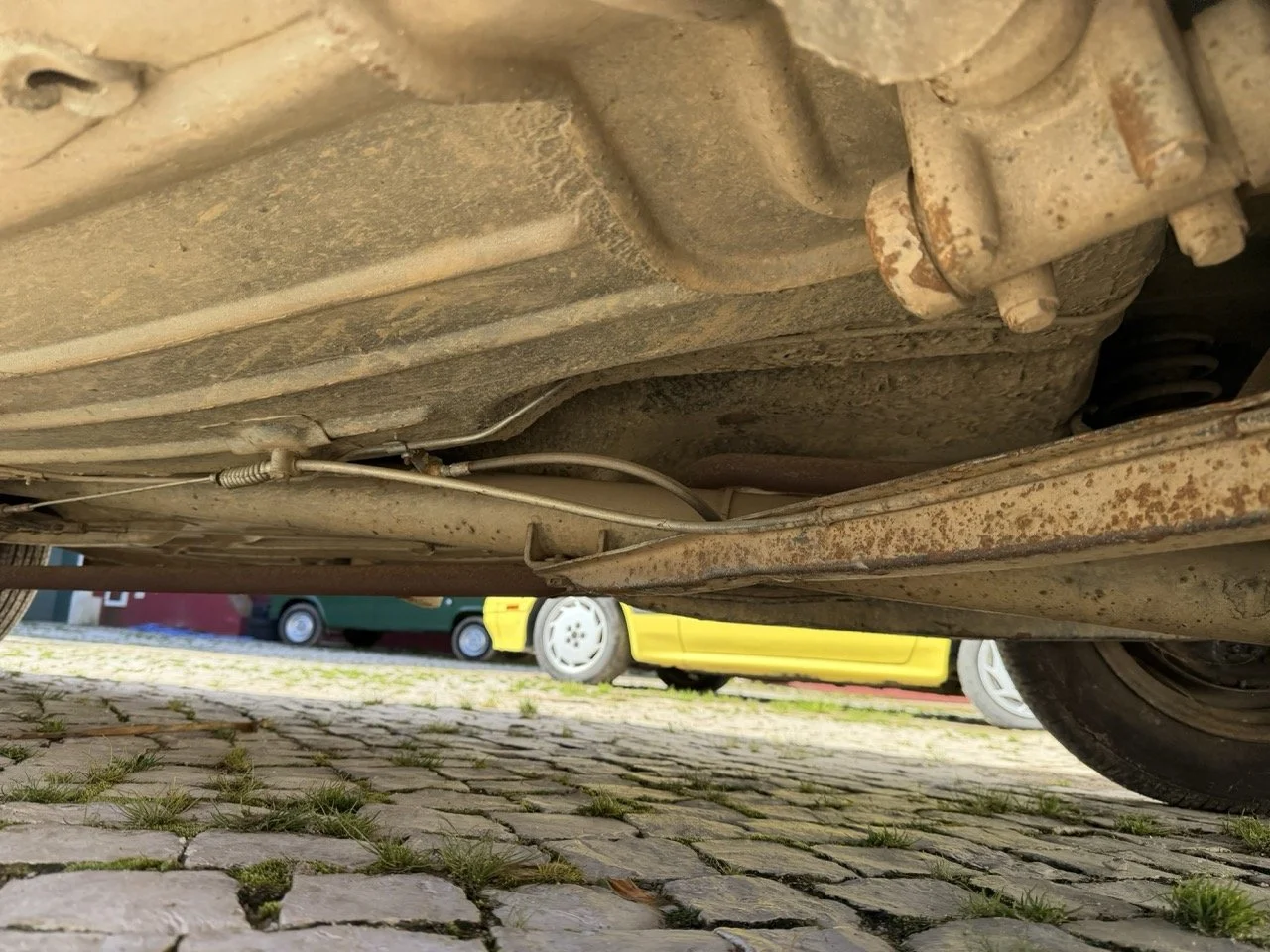 IMG_6757 – grande.jpeg