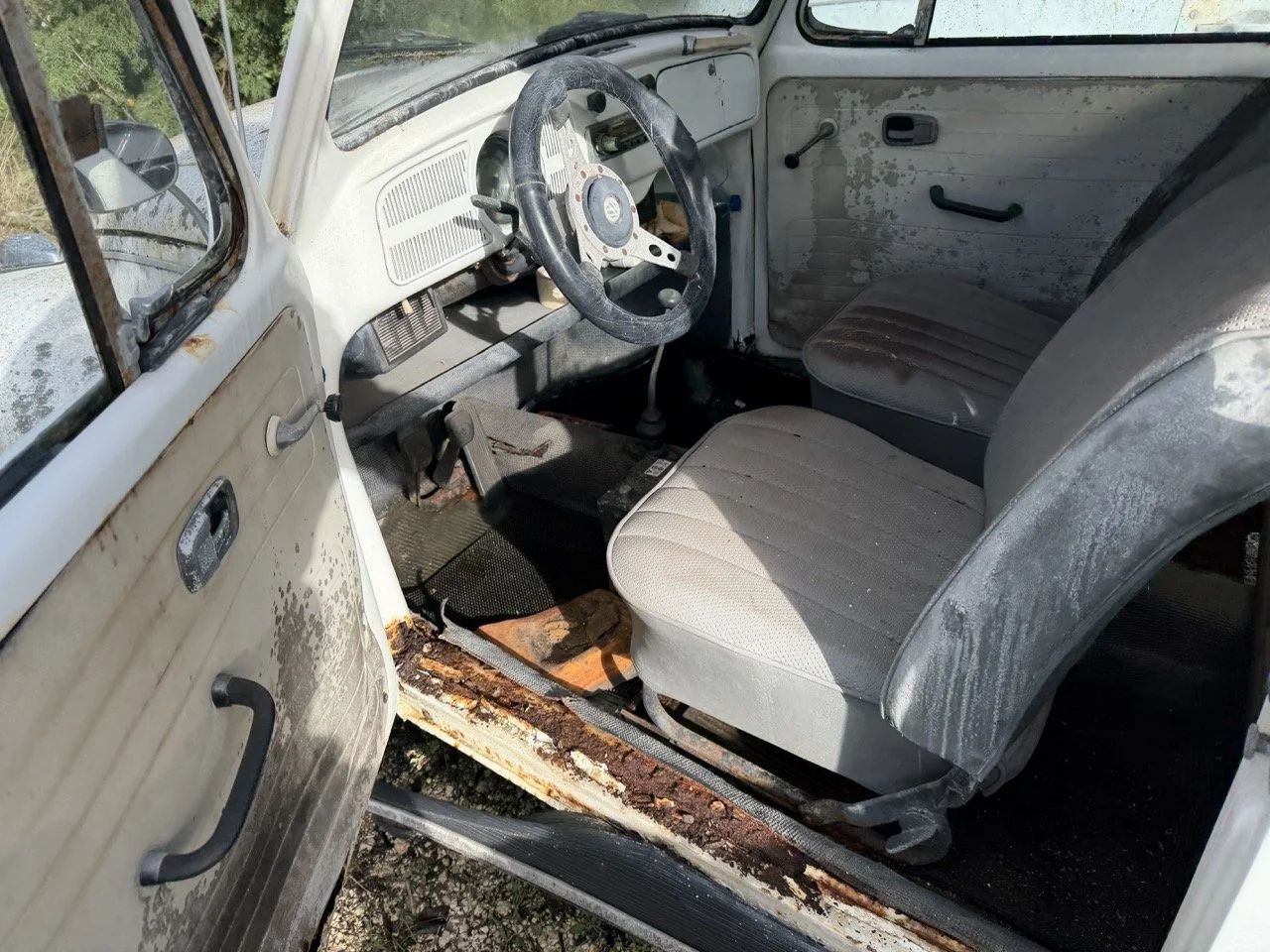 IMG_8596 – grande.jpeg