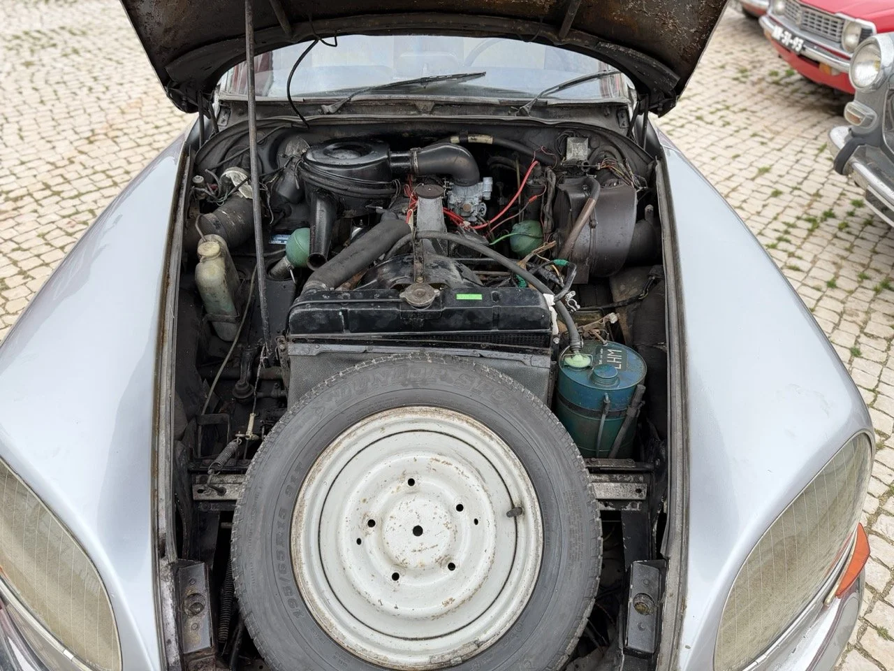 IMG_3727 – grande.jpeg