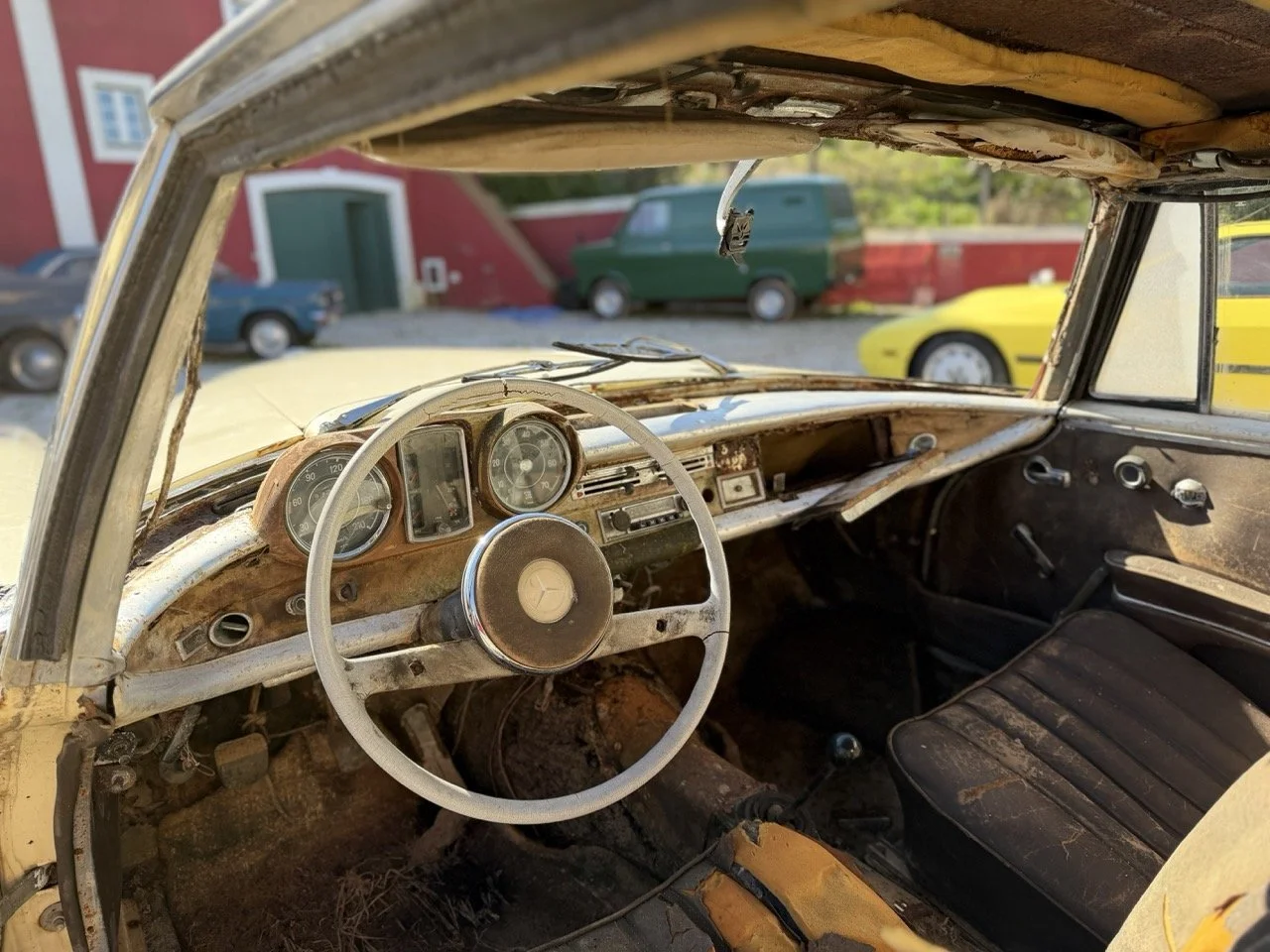 IMG_7013 – grande.jpeg