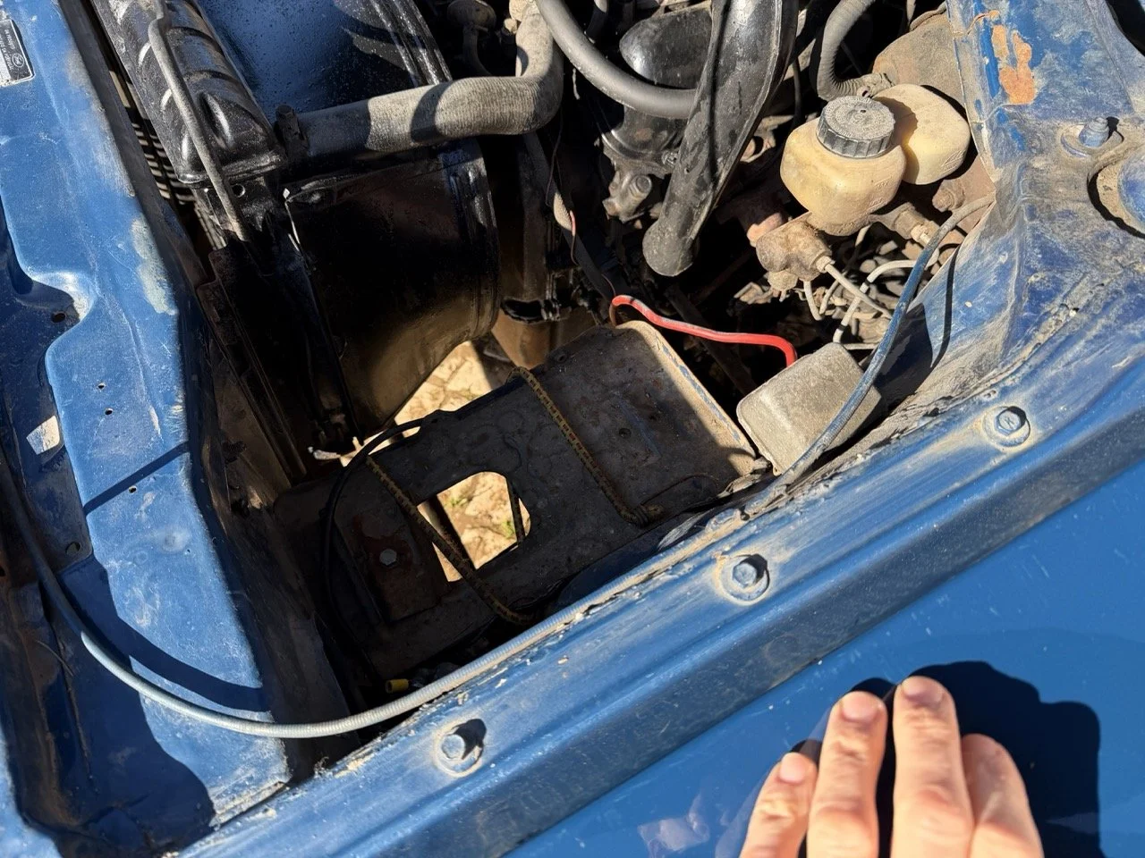 IMG_1851 – grande.jpeg