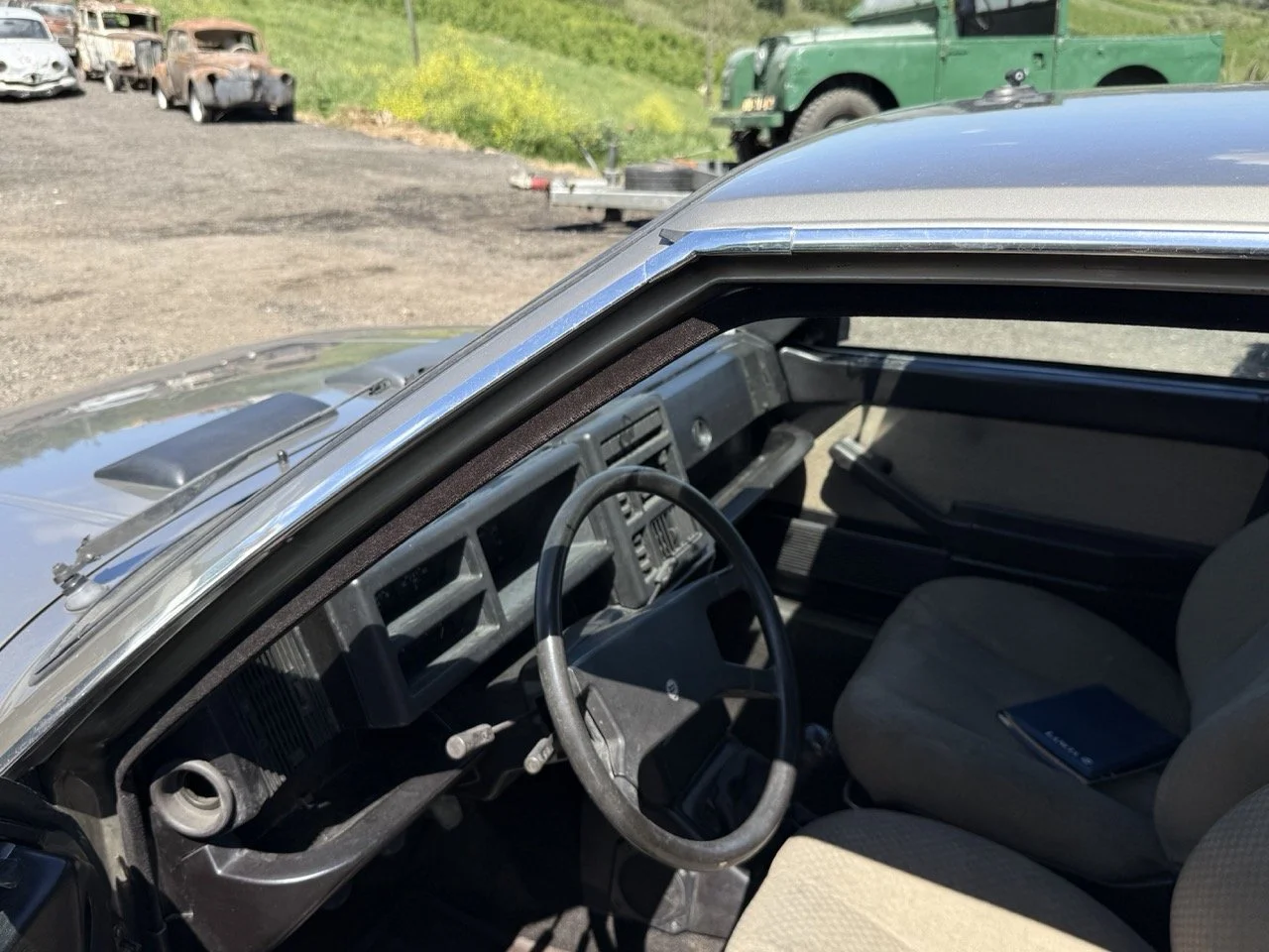 IMG_1914 – grande.jpeg