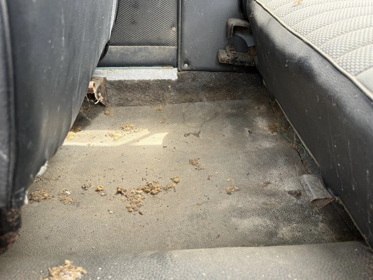 IMG_1395 – grande.jpeg