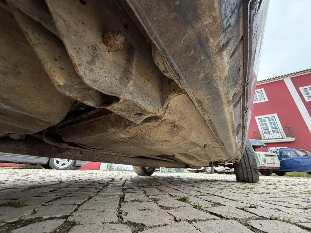 IMG_1325 – grande.jpeg