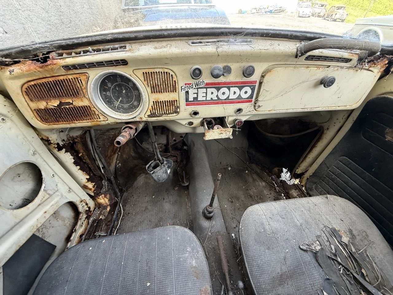 IMG_0660 – grande.jpeg