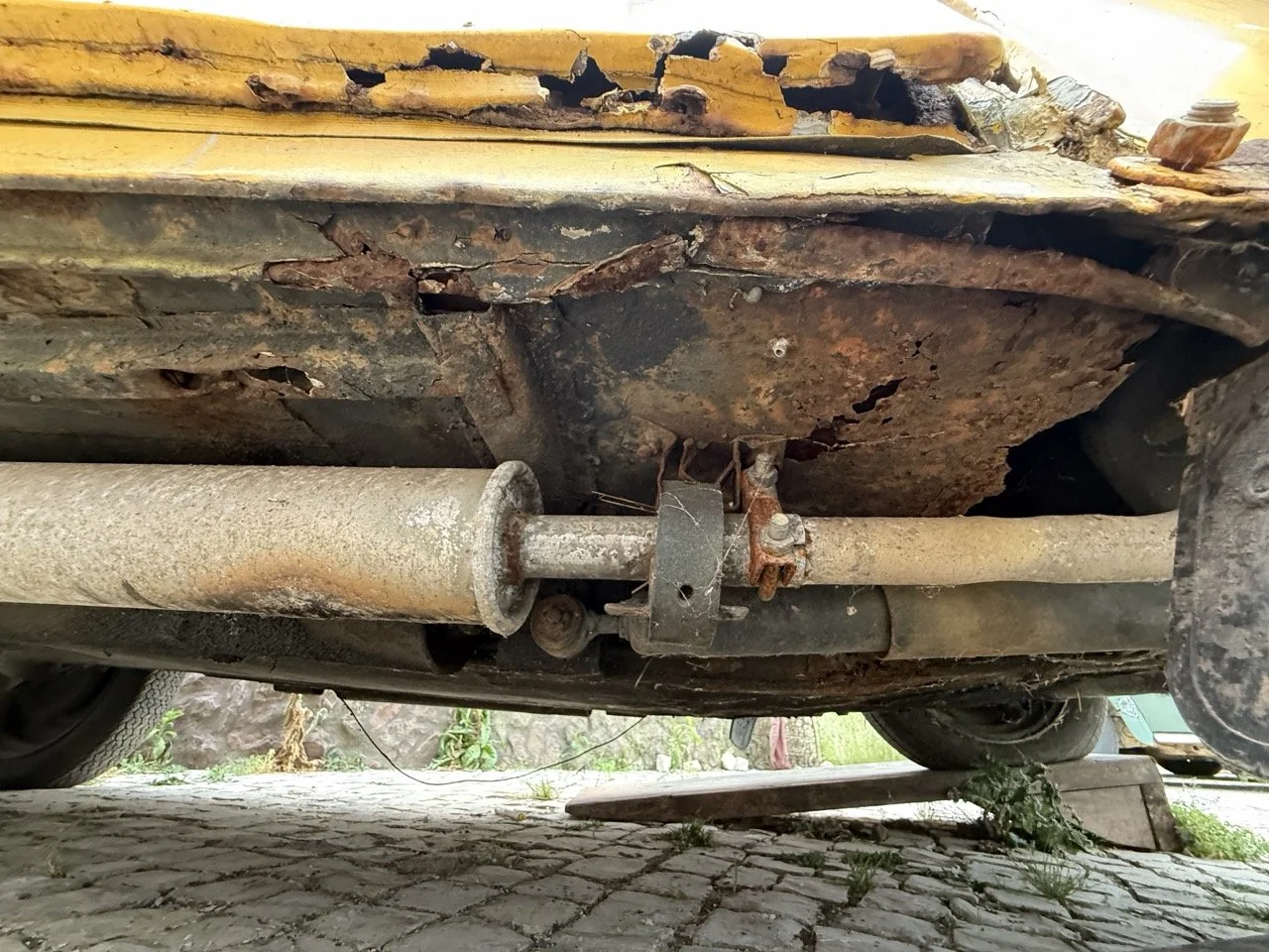 IMG_3808 – grande.jpeg