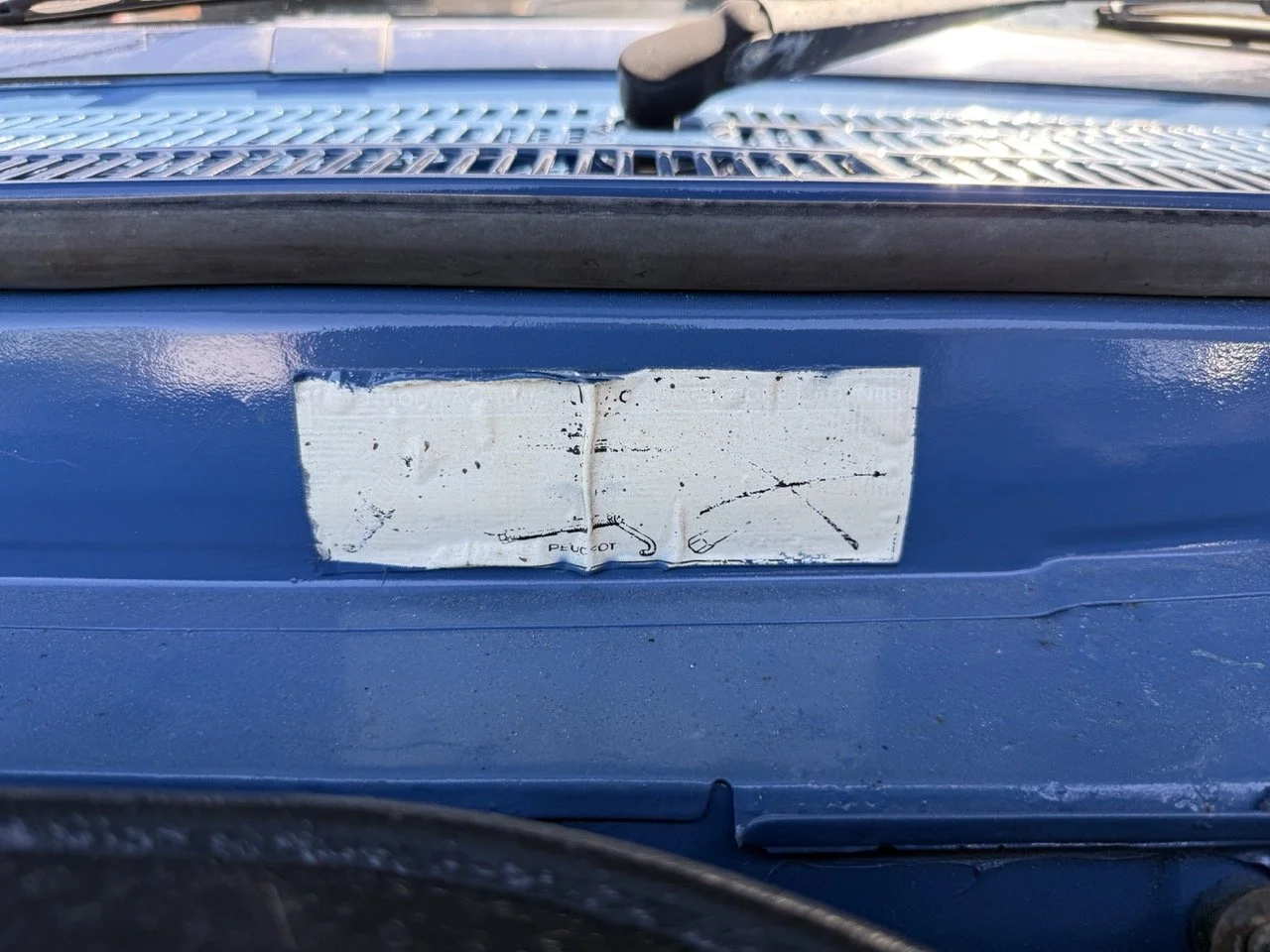 IMG_0790 – grande.jpeg