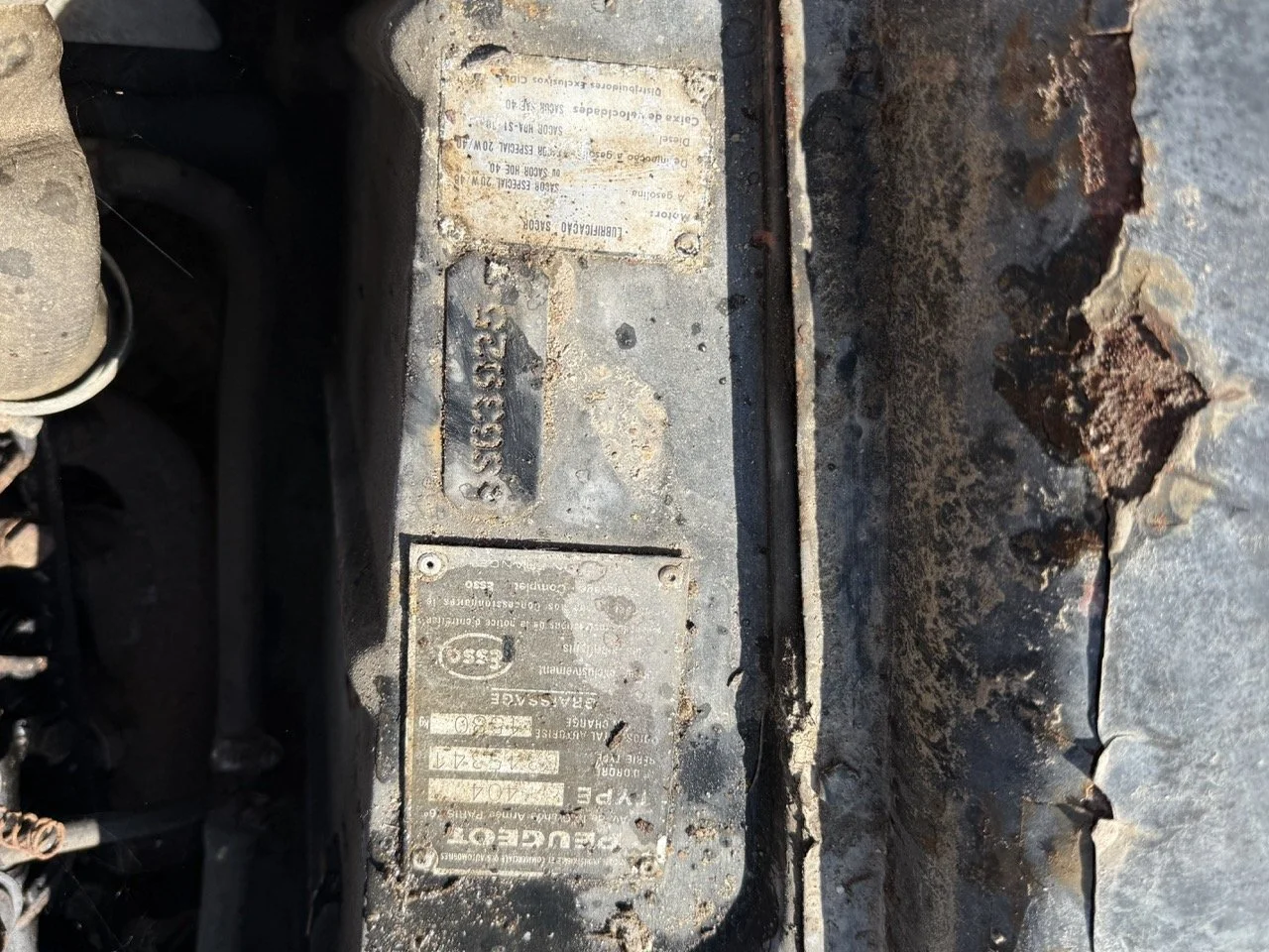 IMG_3490 – grande.jpeg