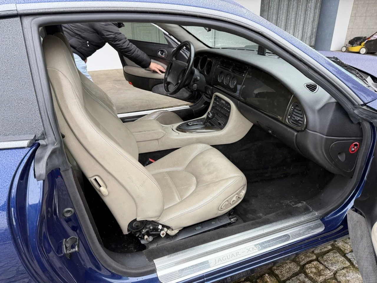 IMG_3638 – grande.jpeg