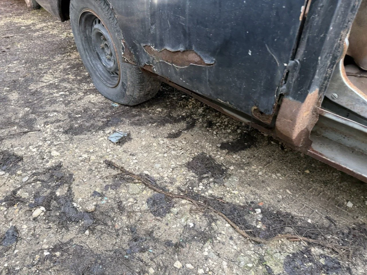 IMG_5248 – grande.jpeg