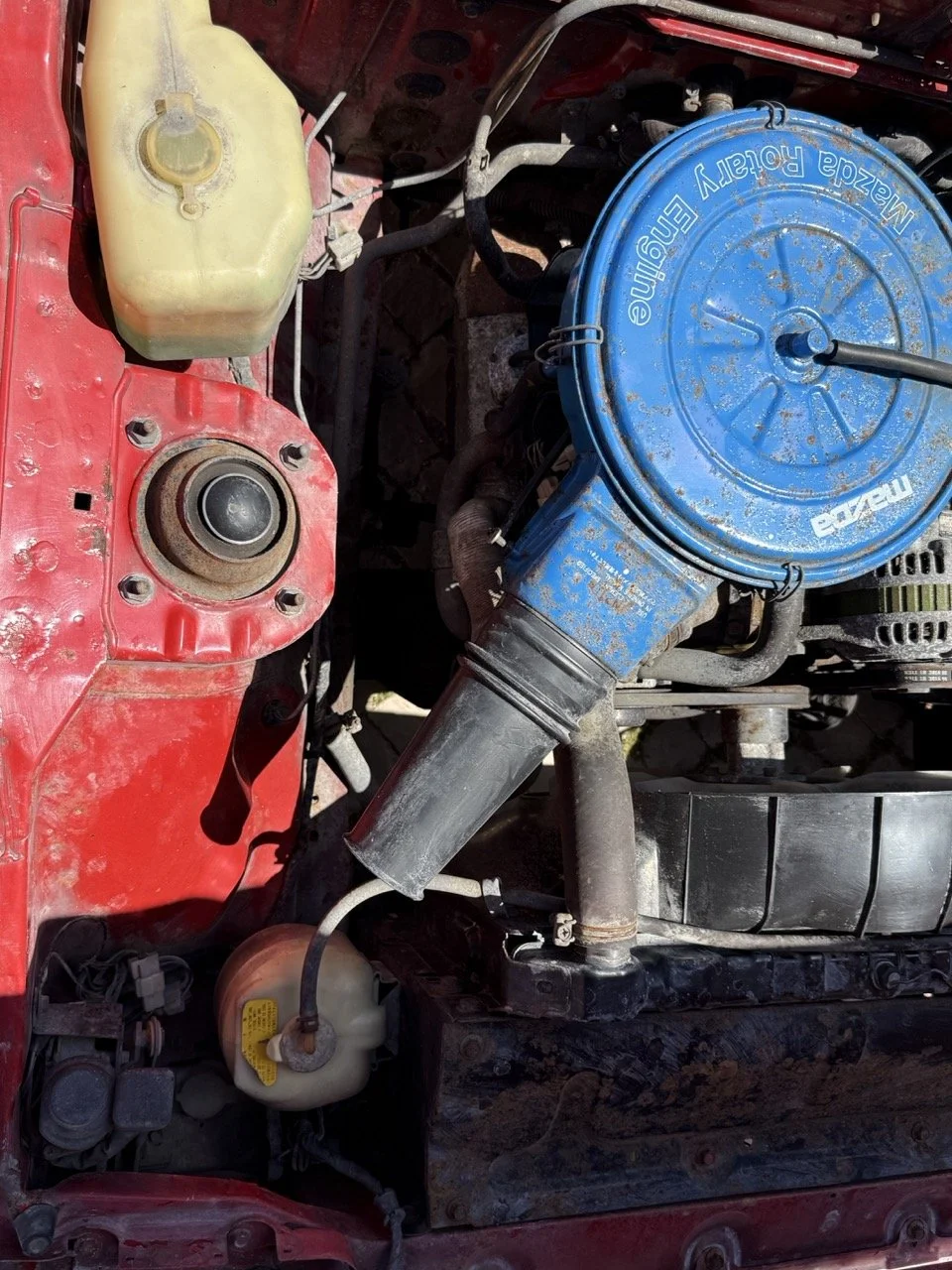 IMG_2047 – grande.jpeg