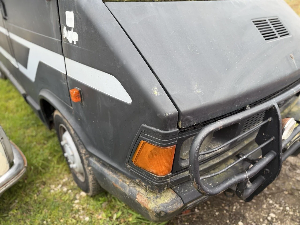 IMG_1306 – grande.jpeg