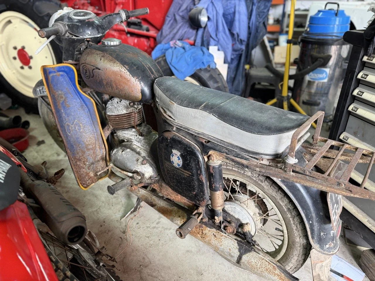 IMG_2166 – grande.jpeg