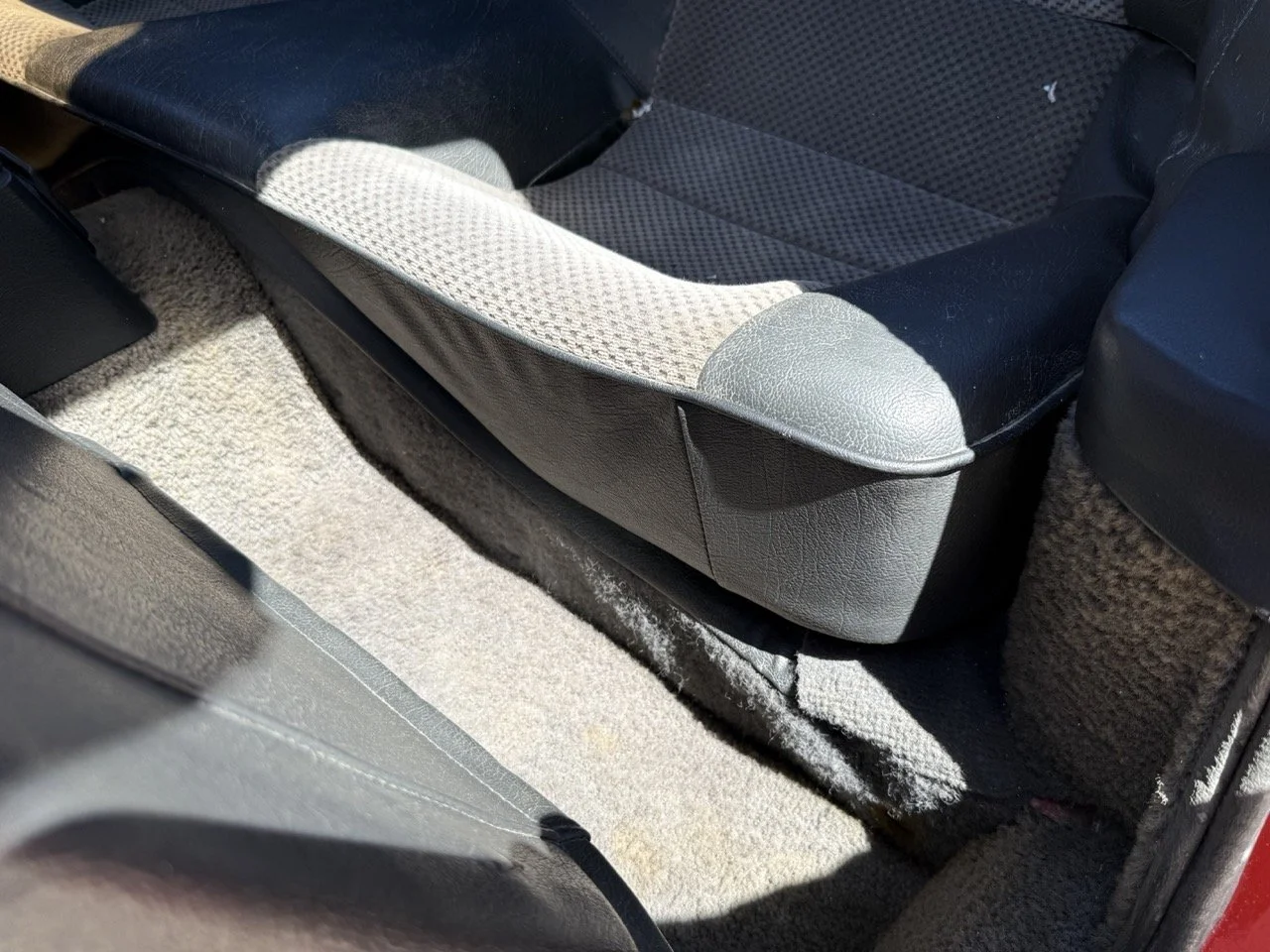 IMG_2078 – grande.jpeg