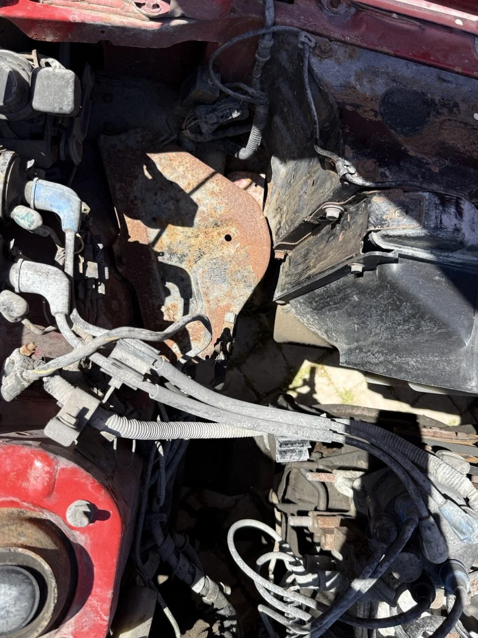 IMG_2052 – grande.jpeg