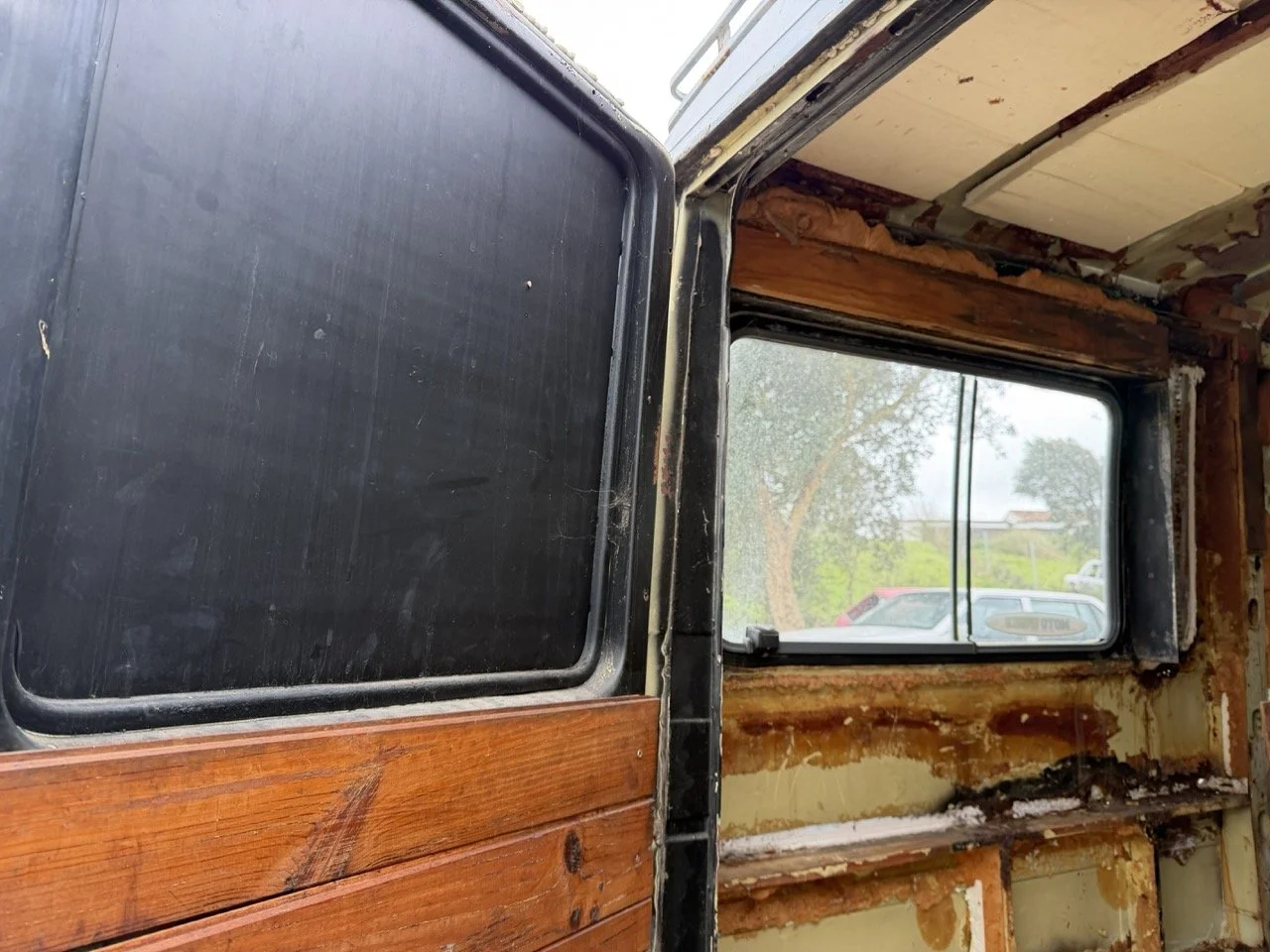 IMG_1326 – grande.jpeg