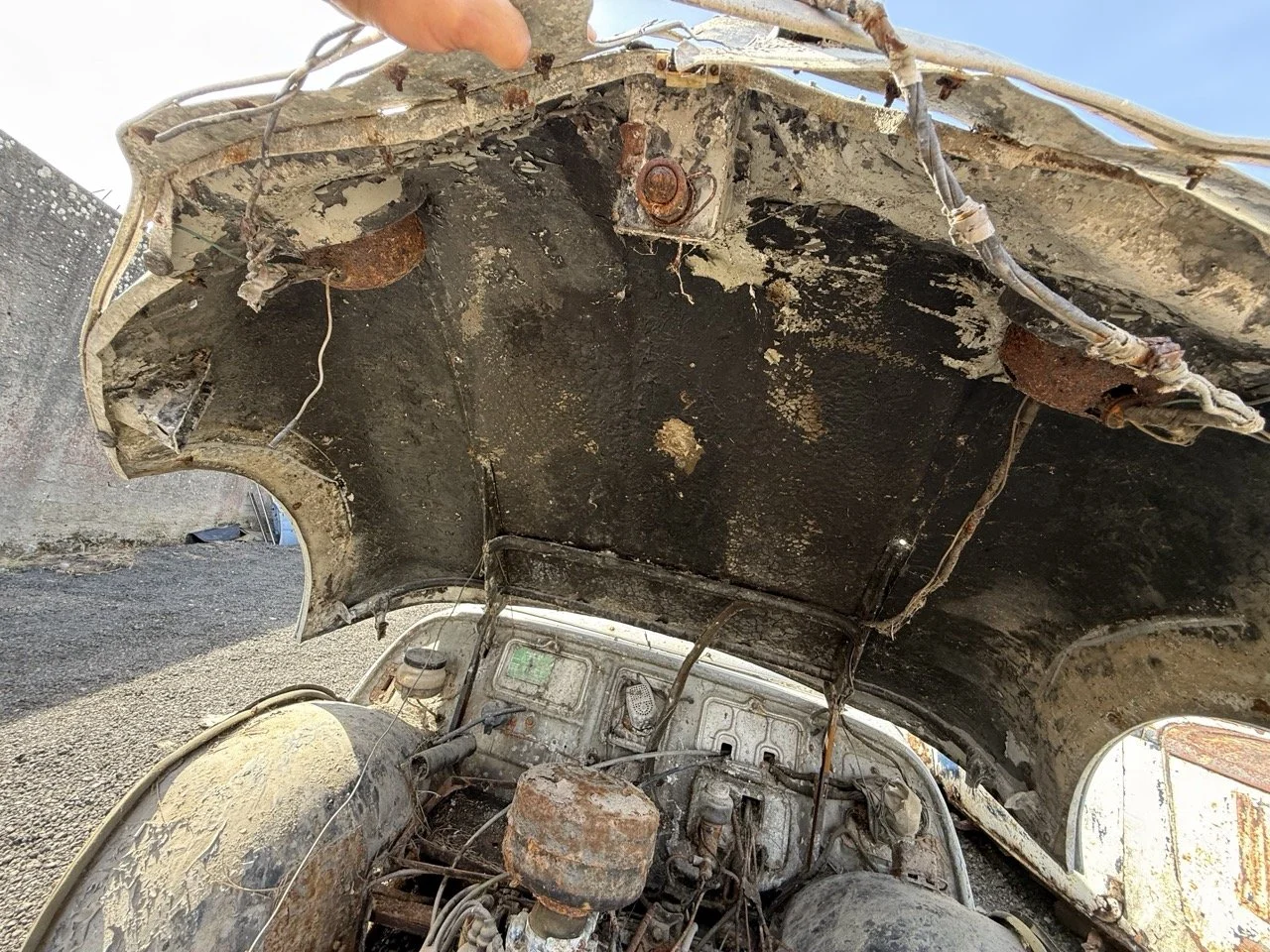 IMG_0336 – grande.jpeg