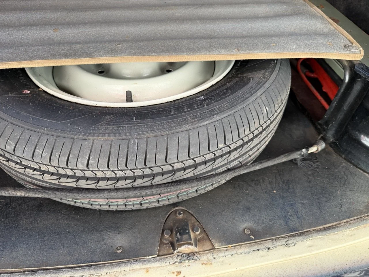 IMG_6709 – grande.jpeg