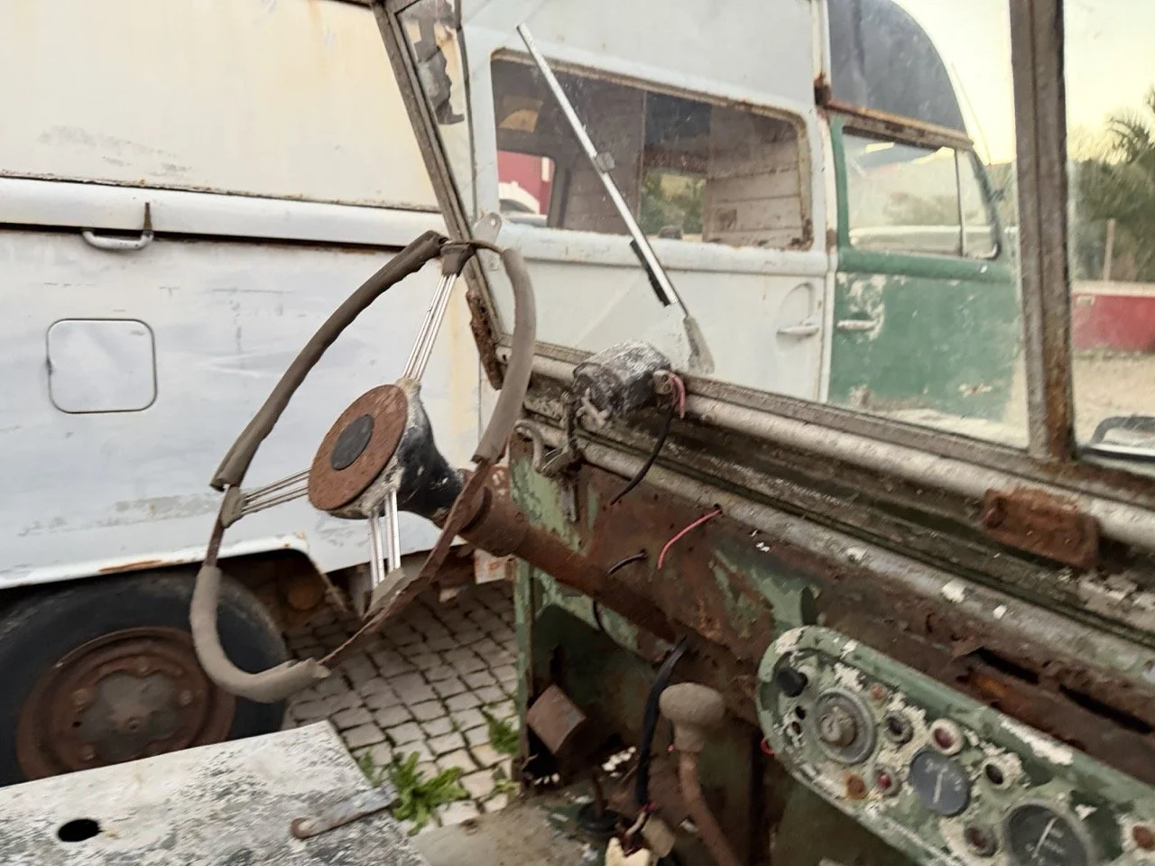 IMG_7455 – grande.jpeg