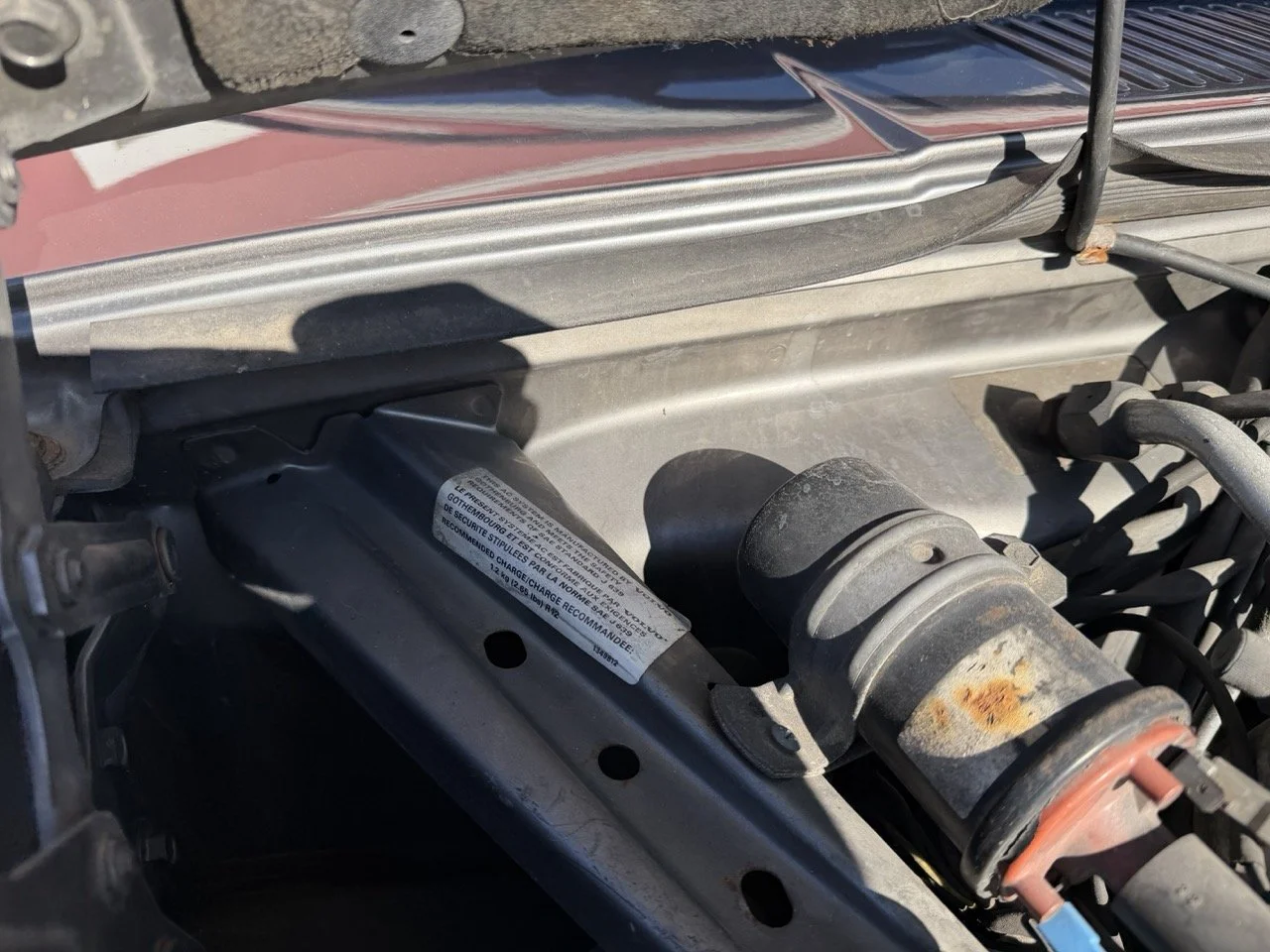 IMG_1983 – grande.jpeg