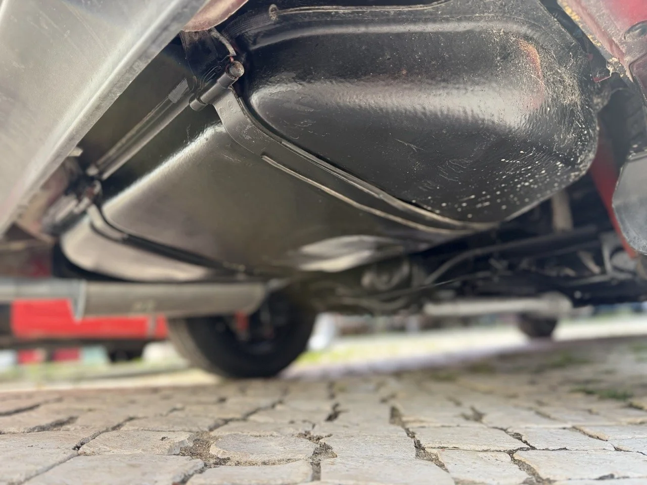 IMG_2459 – grande.jpeg