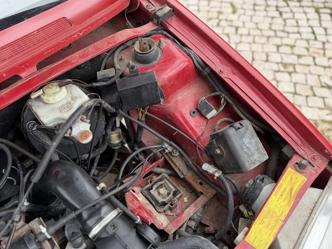 IMG_0436 – grande.jpeg