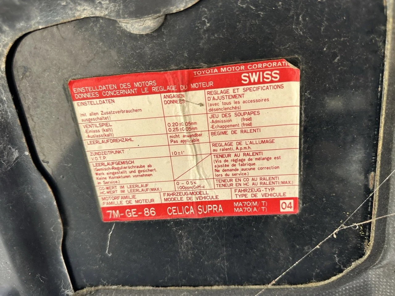 IMG_3067 – grande.jpeg