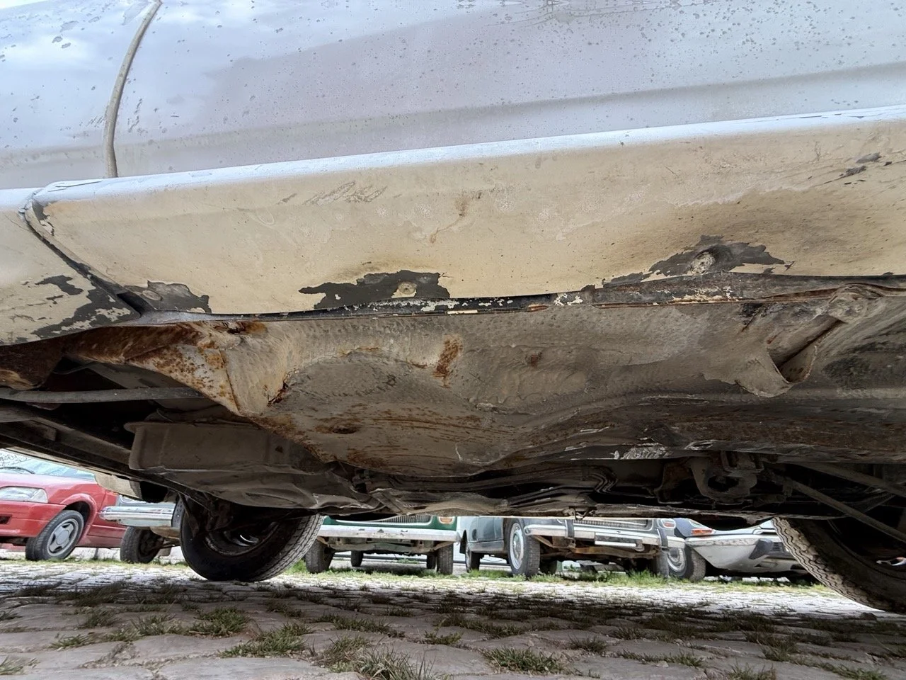 IMG_8645 – grande.jpeg