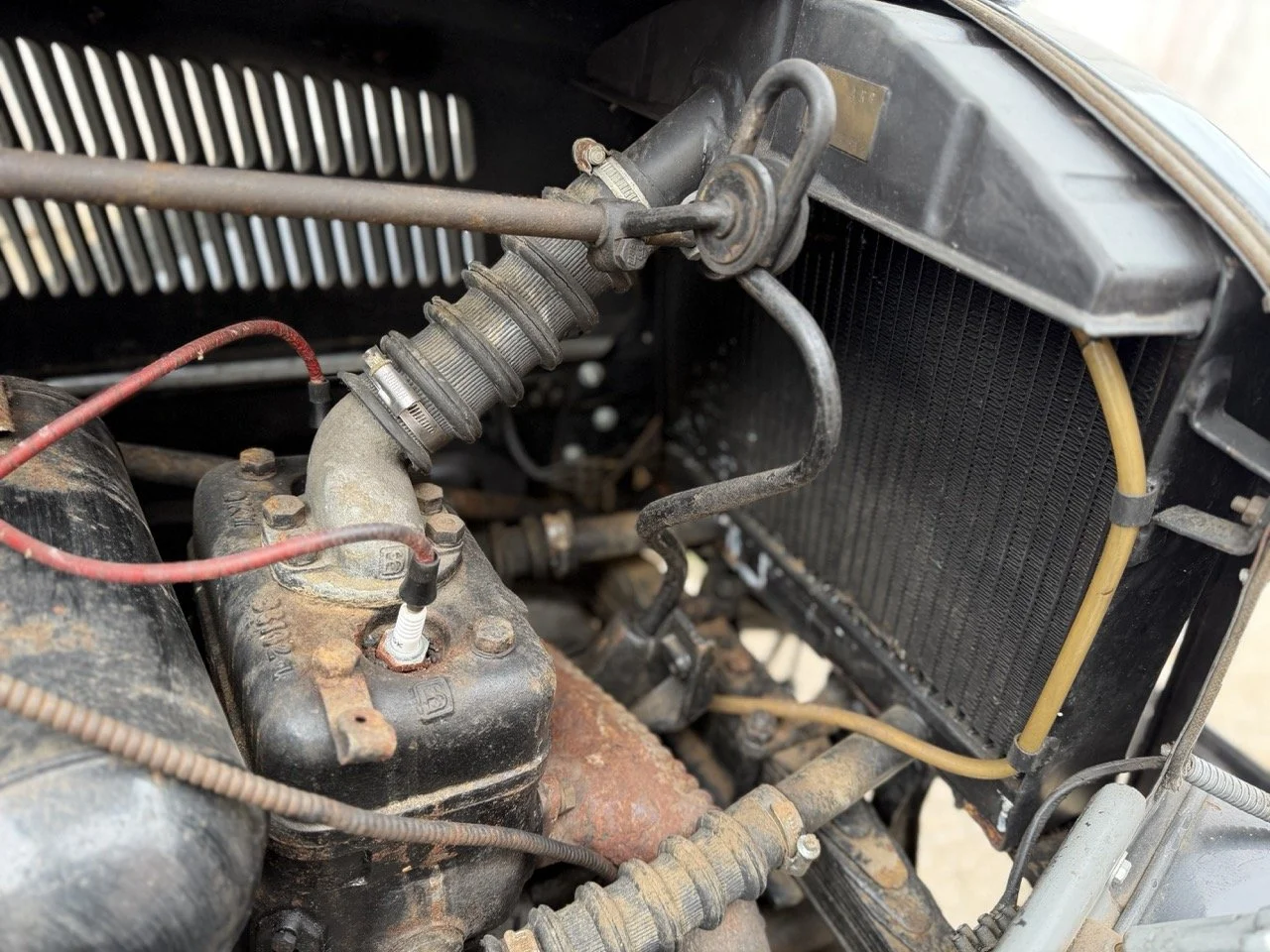 IMG_1443 – grande.jpeg