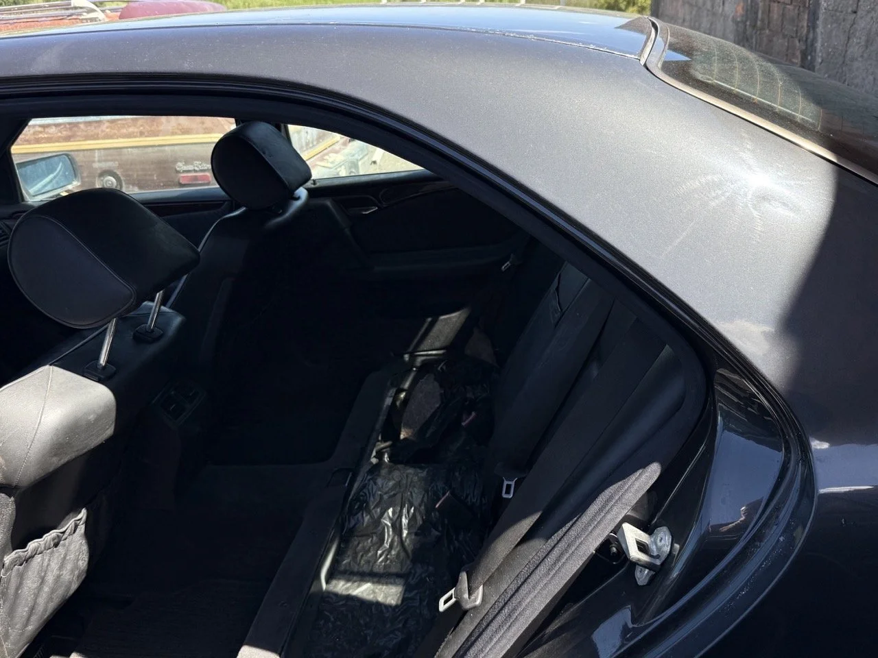 IMG_1746 – grande.jpeg