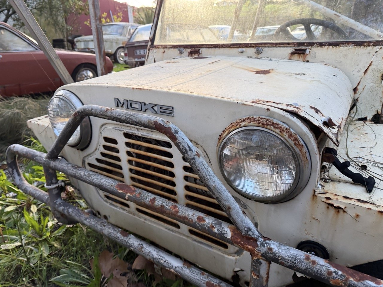 IMG_0886 – grande.jpeg