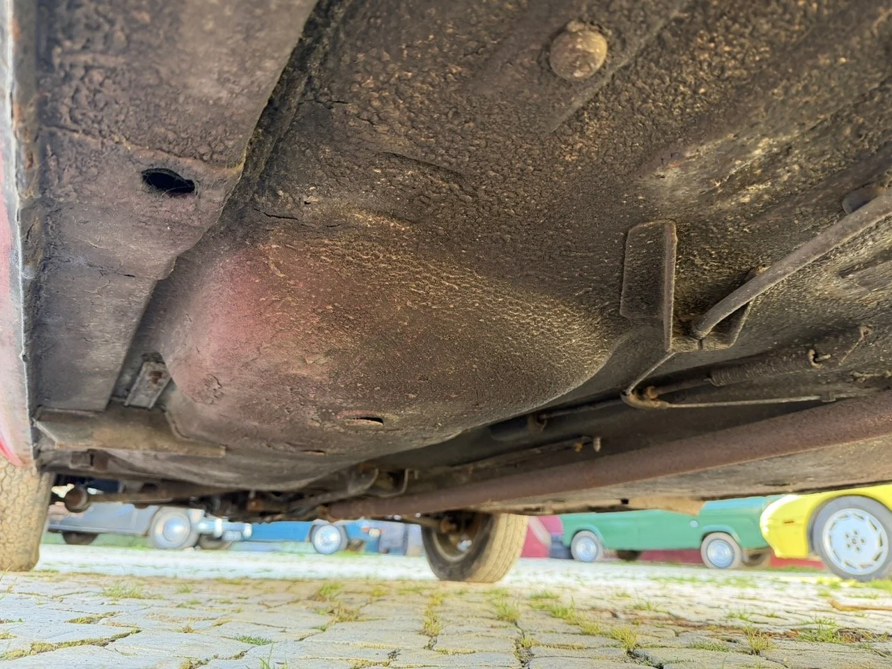 IMG_7231 – grande.jpeg