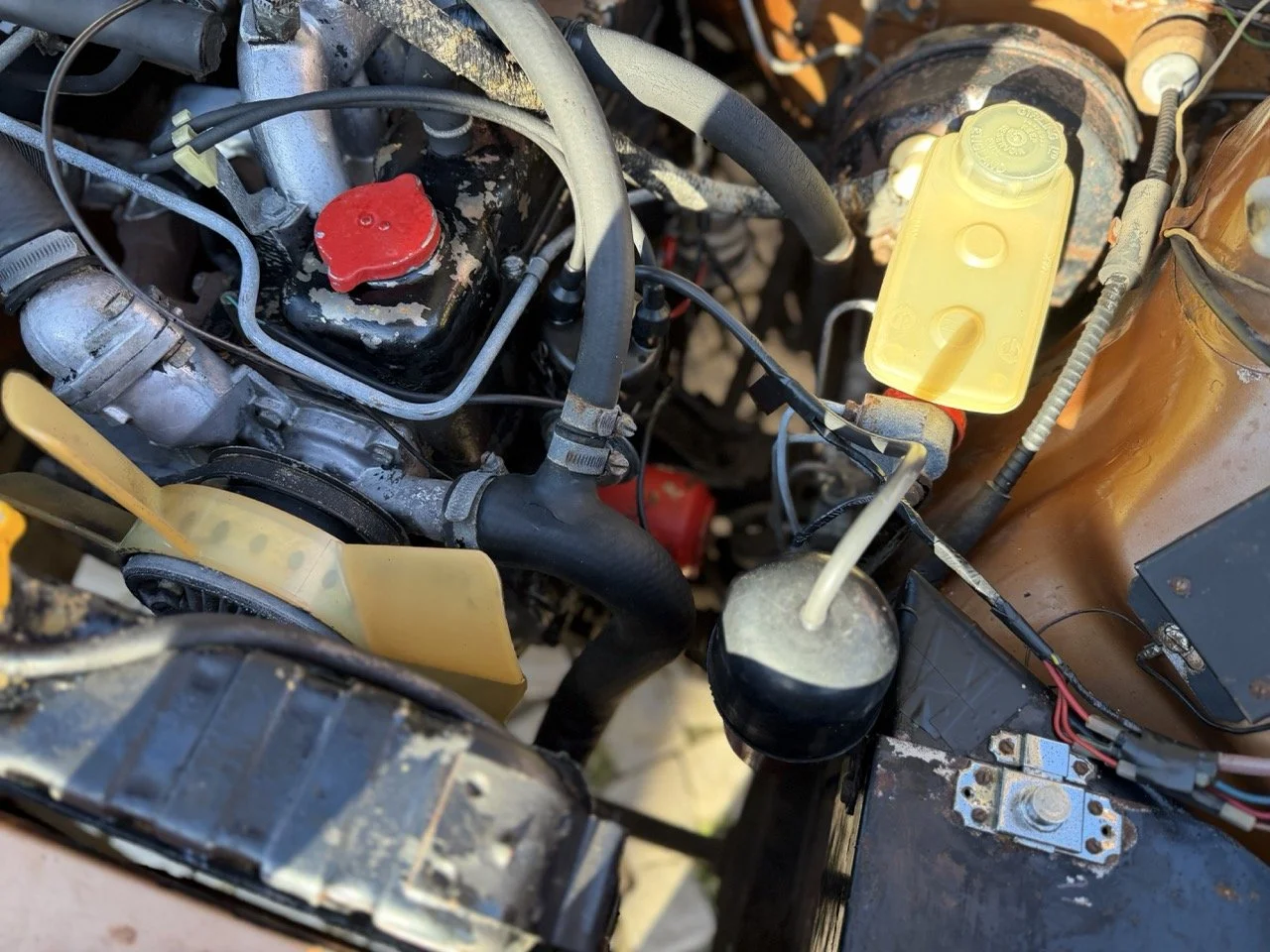 IMG_2399 – grande.jpeg