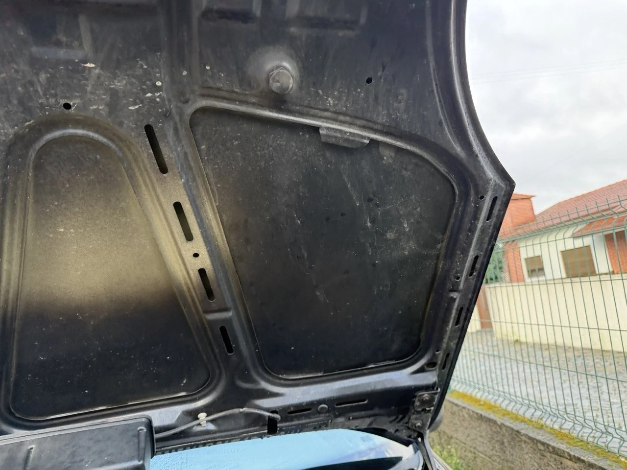 IMG_5320 – grande.jpeg