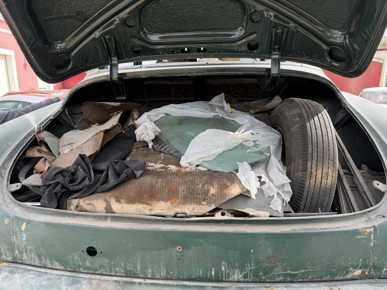 IMG_1803 – grande.jpeg