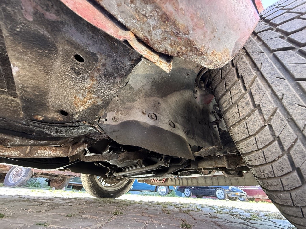 IMG_2109 – grande.jpeg