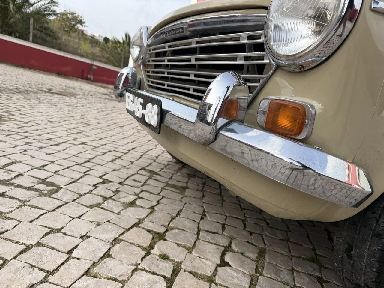 IMG_4104 – grande.jpeg