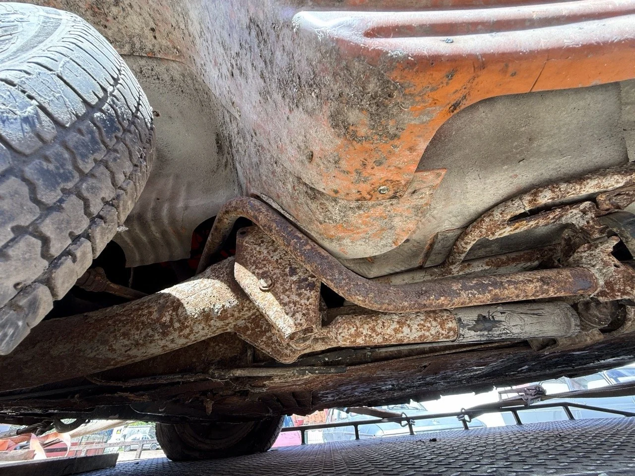 IMG_9052 – grande.jpeg