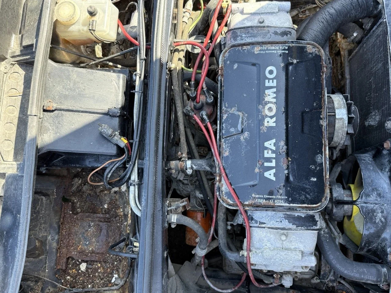 IMG_2938 – grande.jpeg