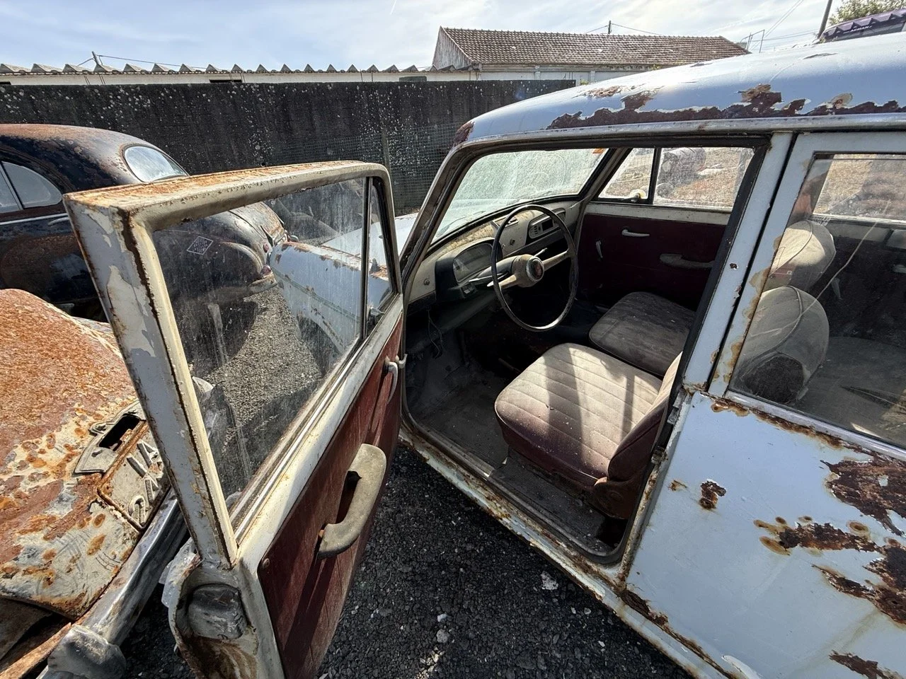 IMG_0497 – grande.jpeg