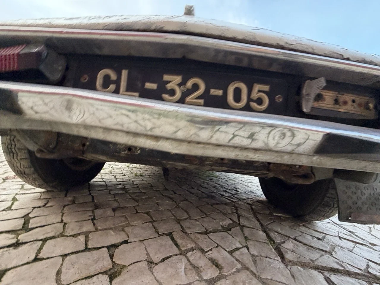 IMG_5996 2 – grande.jpeg