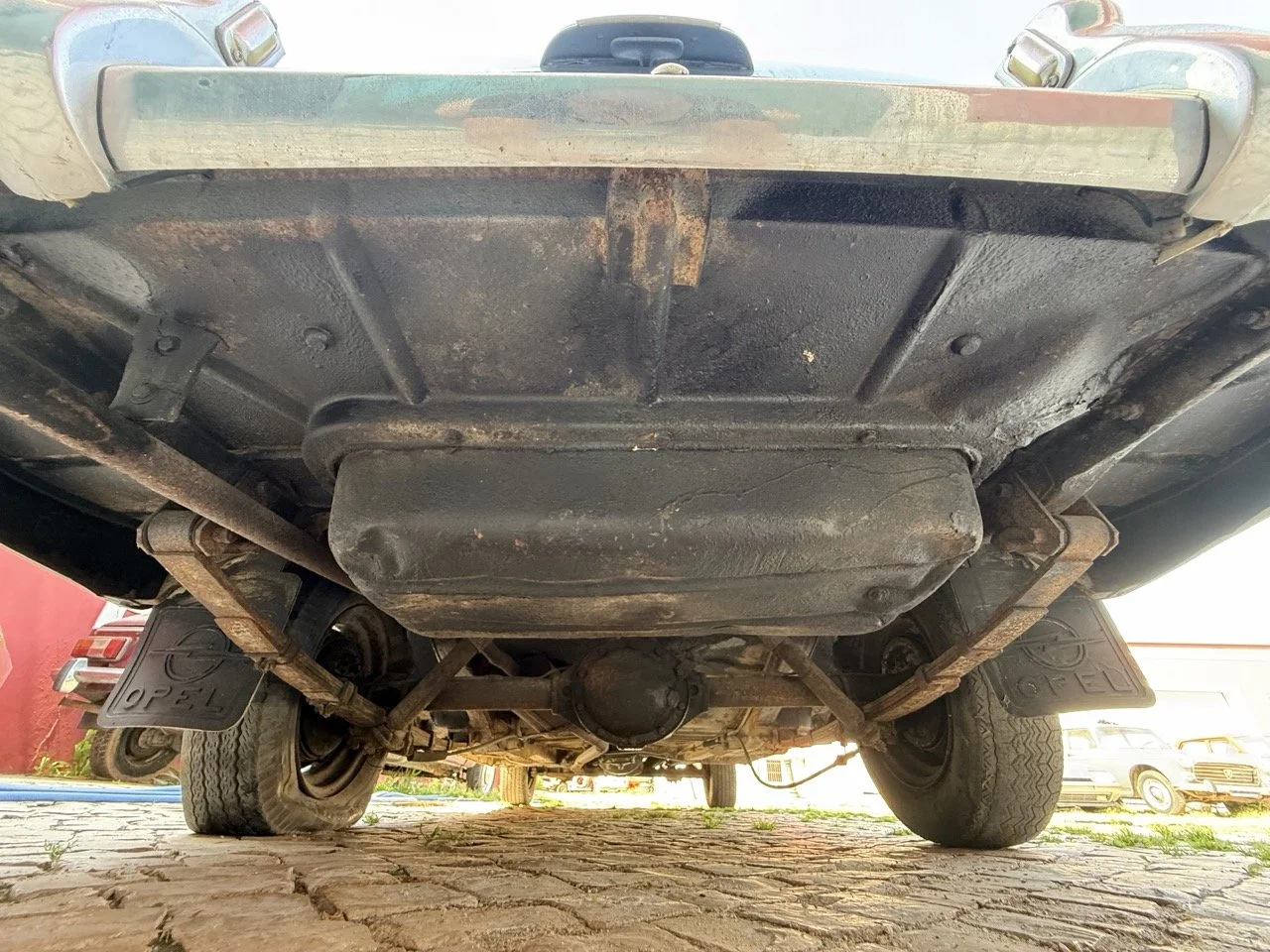 IMG_3568 – grande.jpeg