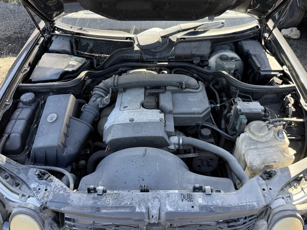 IMG_1739 – grande.jpeg