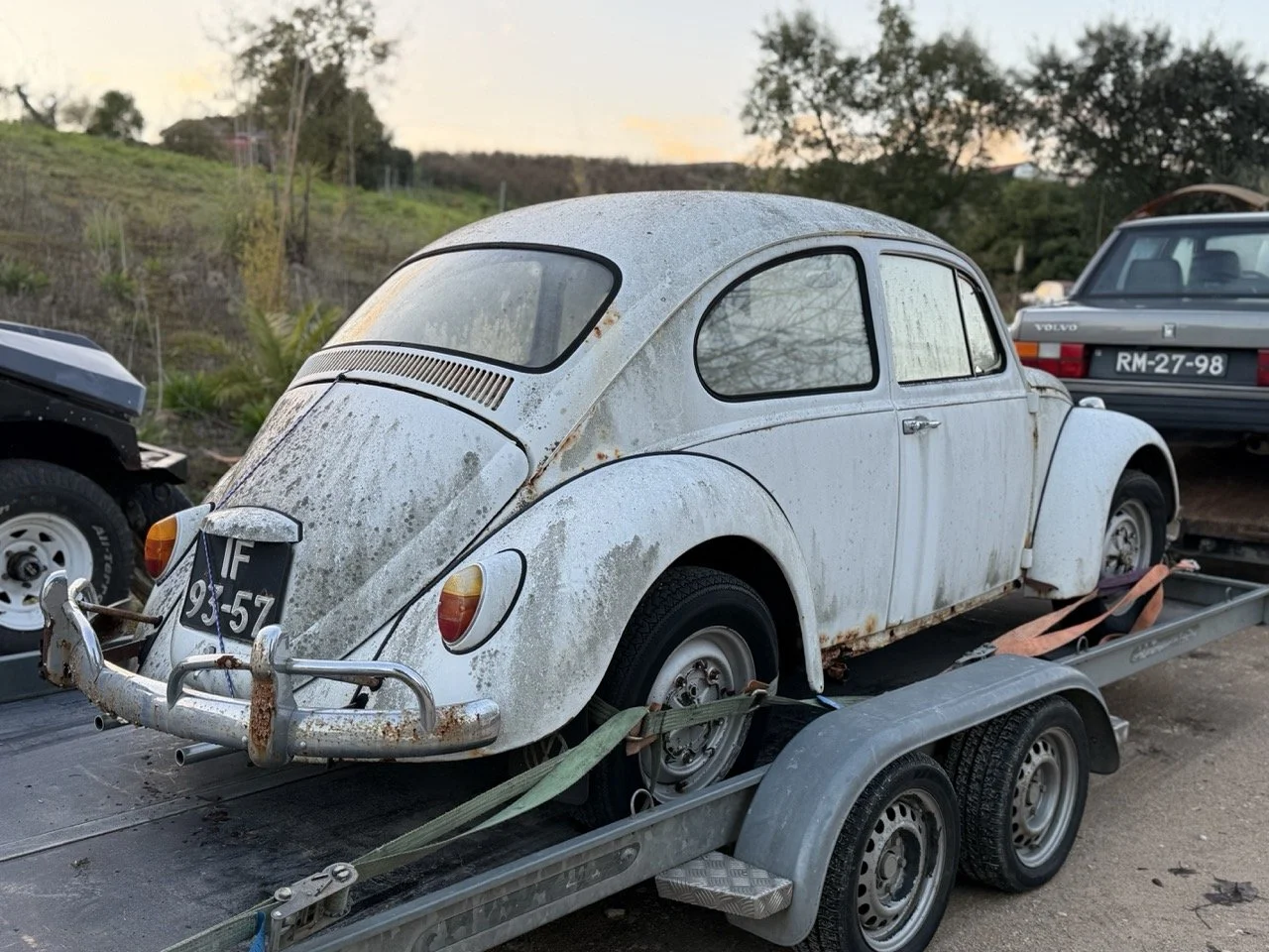 IMG_8591 – grande.jpeg